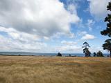 K Taupo 007